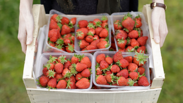Nourrir les populations dans les villes grâce aux deux start-up Agricool et la Ferme Urbaine Lyonnaise qui développent l'agriculture urbaine.