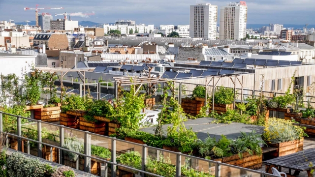 Découvrez des projets innovants d'agriculture urbaine avec Topager et Merci Raymond qui mettent en œuvre potagers urbains, jardinage et préservation de la biodiversité.