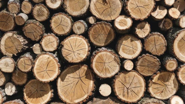 Découvrez l'avenir construction bois avec le bois matériau de construction pour des constructions durables et performantes.