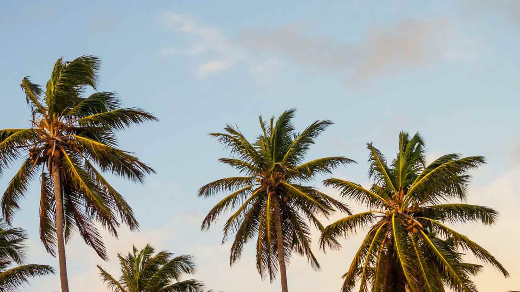 Découvrez le best-of Happy At Work de l'été de GA Smart Building : sans bureaux fixes, quiz, upcycling, Darwin le laboratoire et humour au travail.