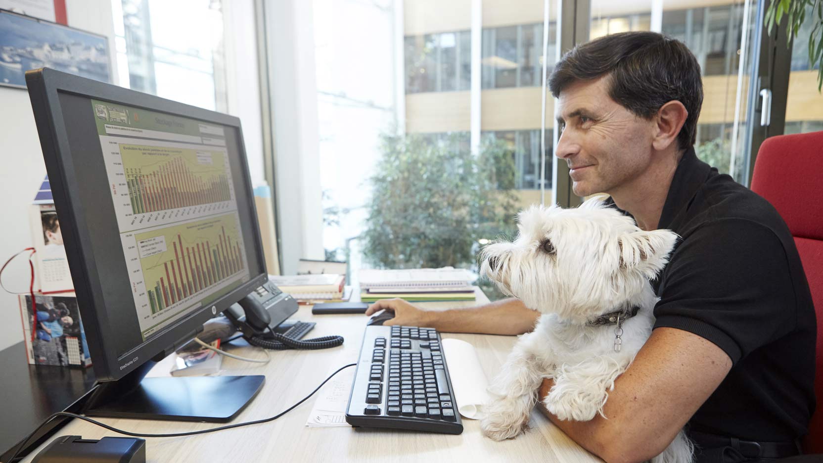 Pets at work ou les bienfaits des animaux au bureau