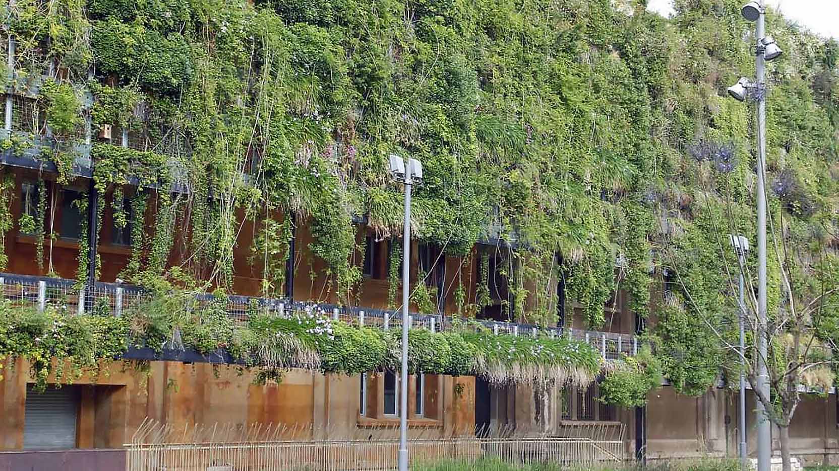 Biodiversity and building: myth or reality?