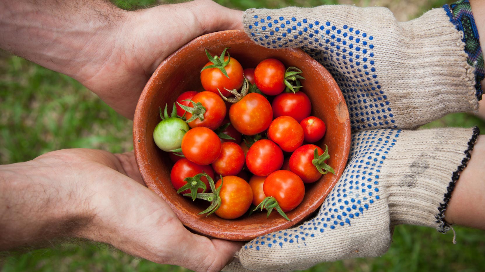 Conciergeries d’entreprise : travailler l’esprit tranquille