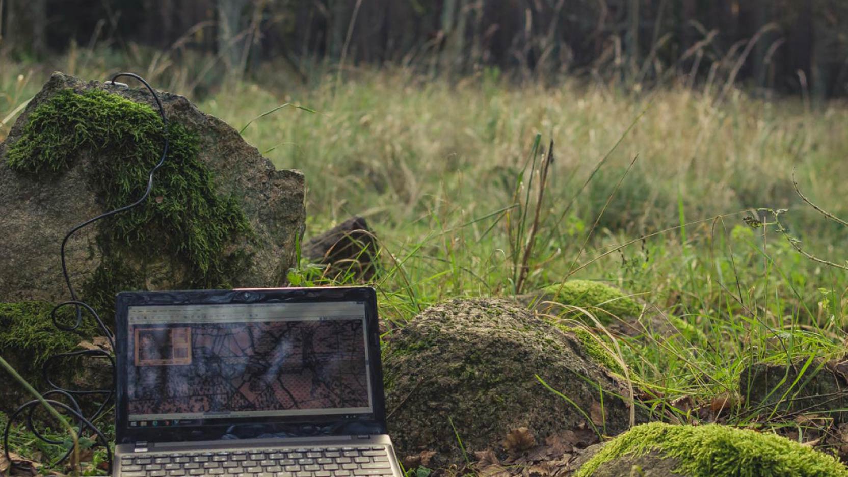 Do we work better surrounded by nature?