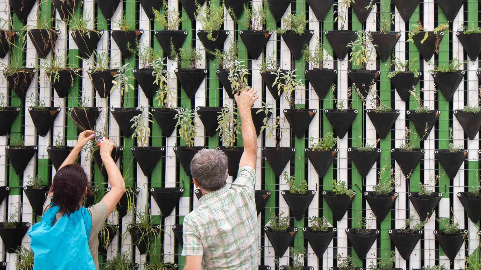 Nous, les plantes et le bien-être au travail