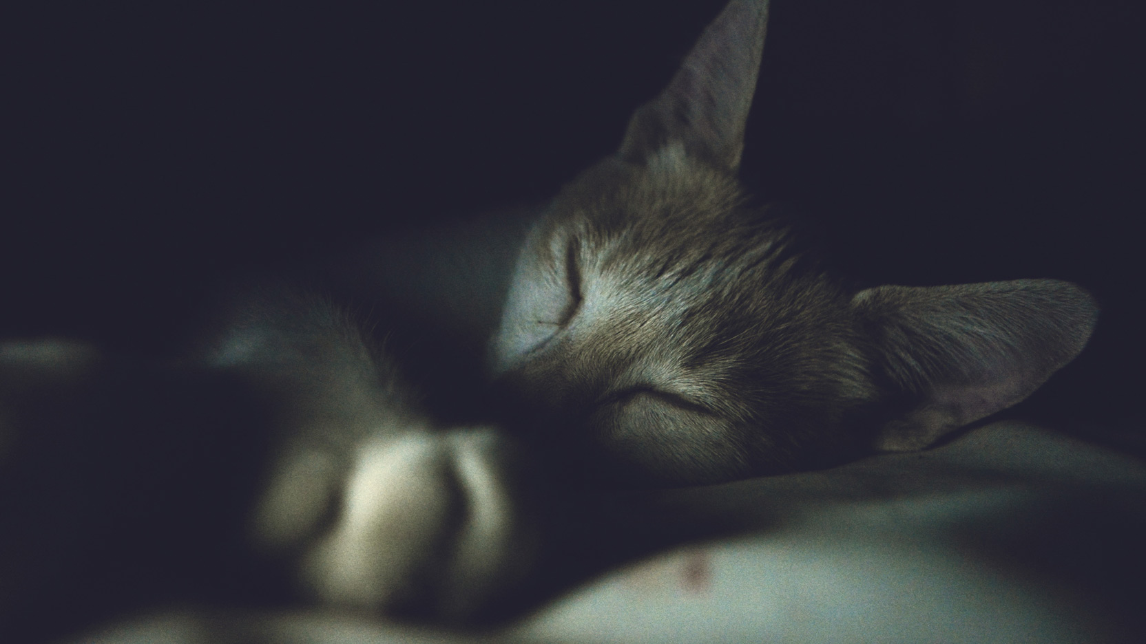 Des bienfaits de la sieste au travail