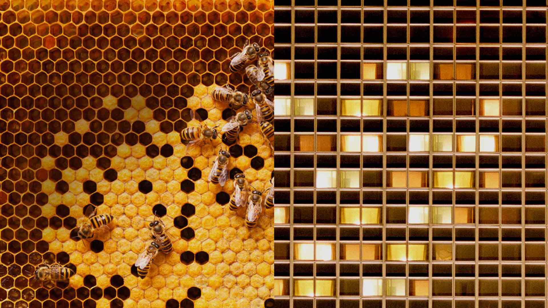 La filiale GA Services de GA Smart Building propose une gestion sur-mesure des bâtiments sur l'ensemble de leur cycle de vie pour optimiser la performance du patrimoine immobilier.