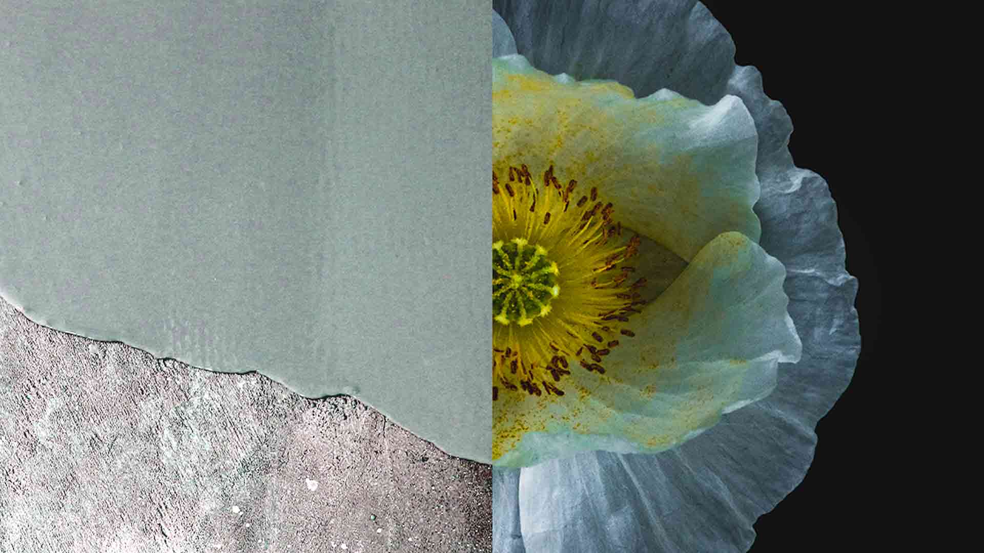 GA Smart Building, avec son entité rénovation, rénove des bâtiments pour les valoriser, améliorer le bien-être des occupants et respecter les exigences énergétiques et carbone dans le cadre de la lutte contre le changement climatique.