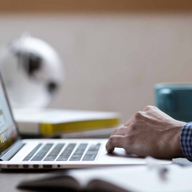 Offre Emploi Ga Sav Service Client 102