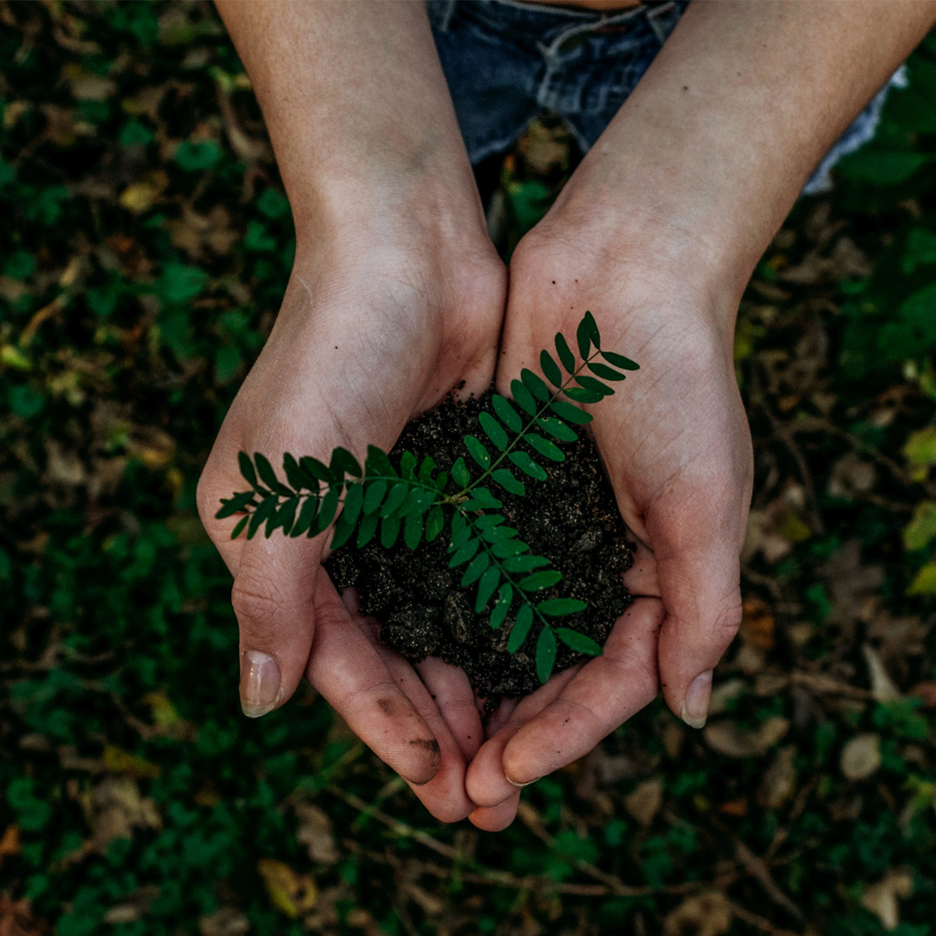 Alternance – Assistant Chef de projet énergéticien H/F